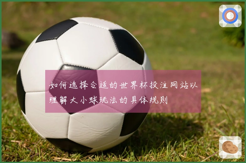如何选择合适的世界杯投注网站以理解大小球玩法的具体规则