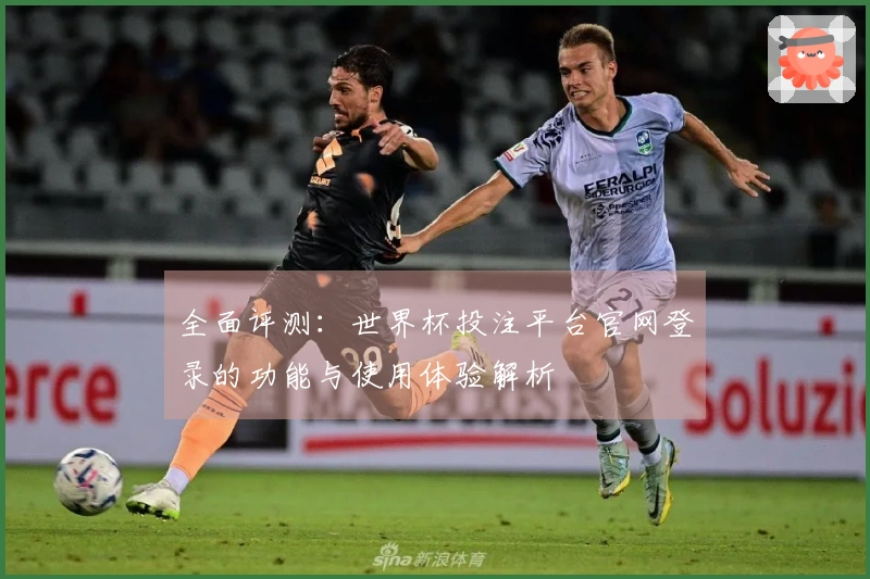 全面评测：世界杯投注平台官网登录的功能与使用体验解析
