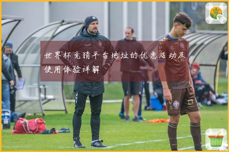 世界杯竞猜平台地址的优惠活动及使用体验详解