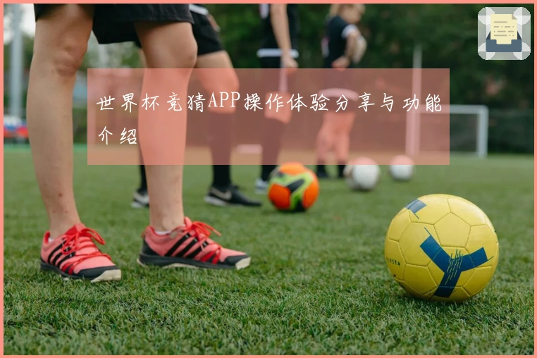 世界杯竞猜APP操作体验分享与功能介绍