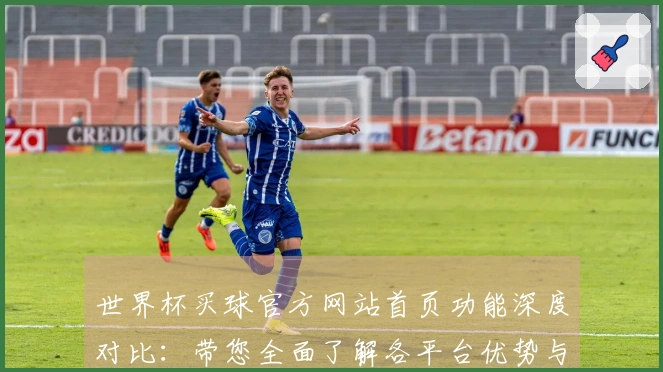 世界杯买球官方网站首页功能深度对比:带您全面了解各平台优势与体验