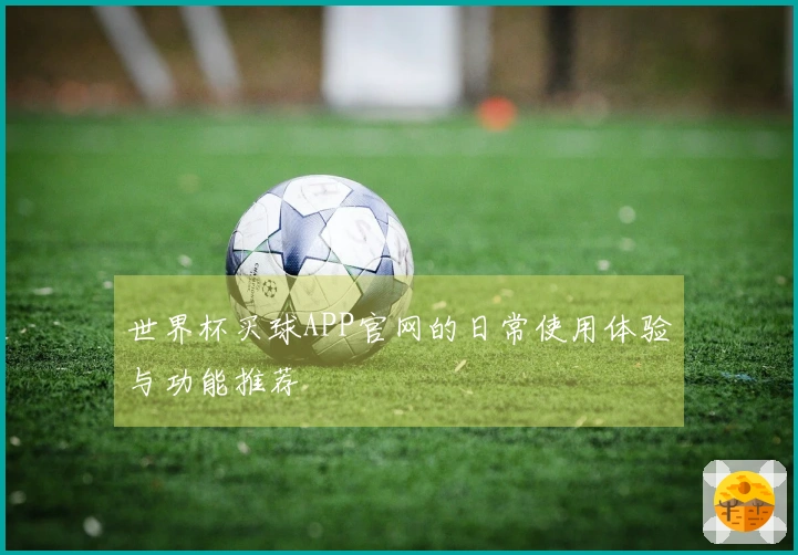 世界杯买球APP官网的日常使用体验与功能推荐
