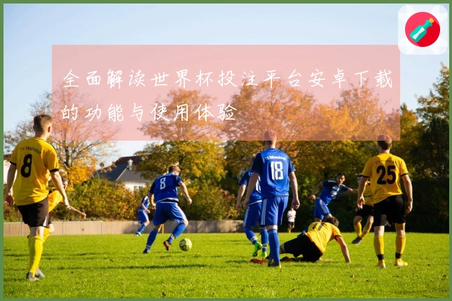 全面解读世界杯投注平台安卓下载的功能与使用体验