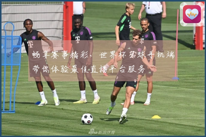 畅享赛事精彩,世界杯买球手机端带你体验最佳直播平台服务