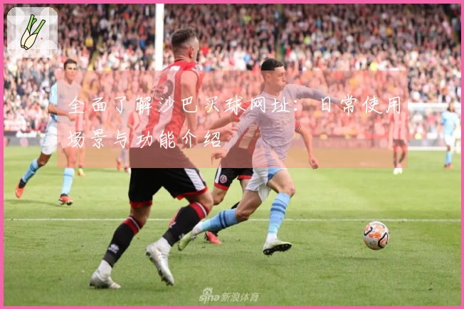 全面了解沙巴买球网址：日常使用场景与功能介绍