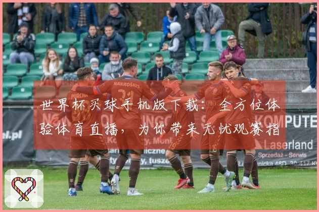 世界杯买球手机版下载:全方位体验体育直播,为你带来无忧观赛指南