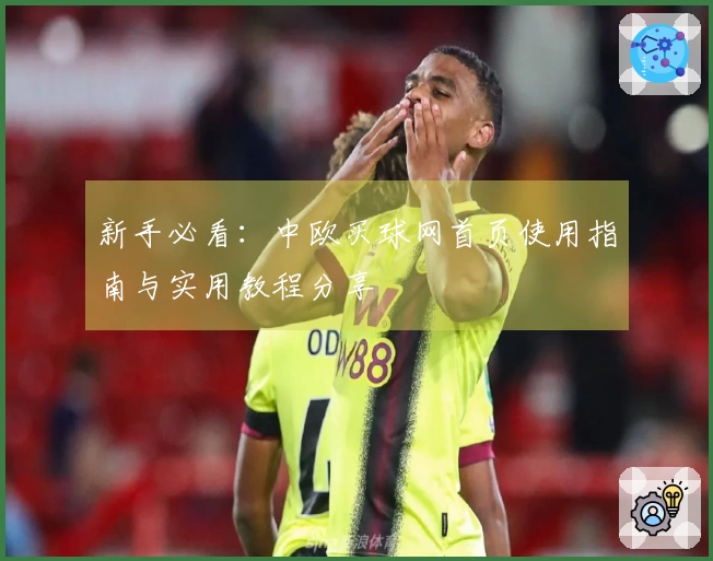 新手必看：中欧买球网首页使用指南与实用教程分享