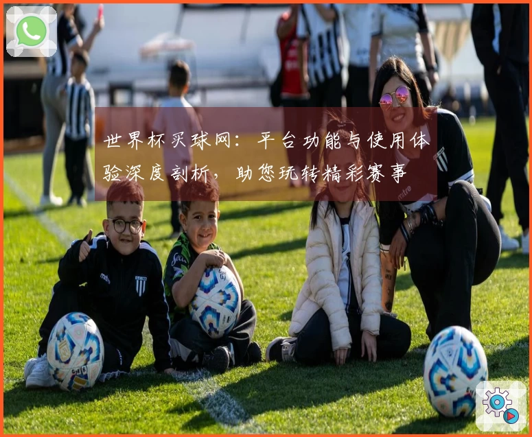 世界杯买球网：平台功能与使用体验深度剖析，助您玩转精彩赛事