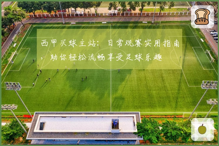 西甲买球主站：日常观赛实用指南，助你轻松流畅享受足球乐趣