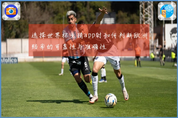 选择世界杯竞猜app时如何判断欧洲赔率的可靠性与准确性