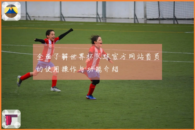 全面了解世界杯买球官方网站首页的使用操作与功能介绍