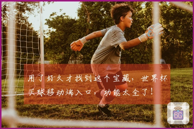 用了好久才找到这个宝藏，世界杯买球移动端入口，功能太全了！