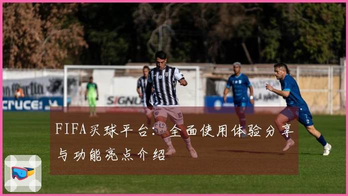 FIFA买球平台：全面使用体验分享与功能亮点介绍