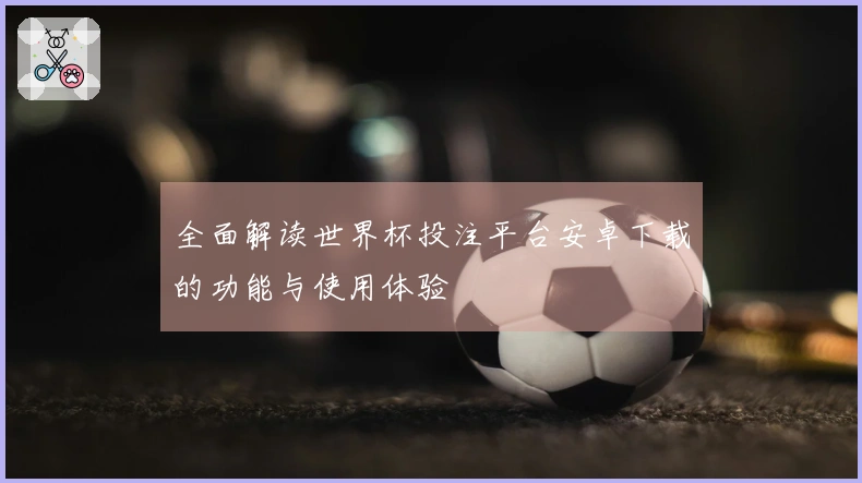 全面解读世界杯投注平台安卓下载的功能与使用体验