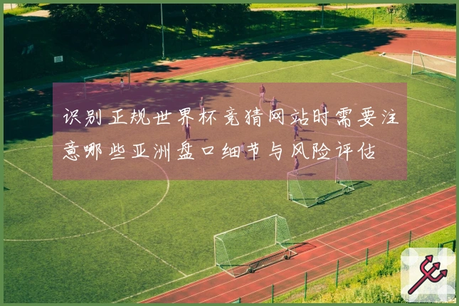 识别正规世界杯竞猜网站时需要注意哪些亚洲盘口细节与风险评估