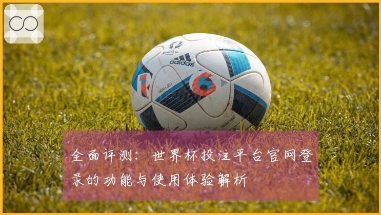 全面评测:世界杯投注平台官网登录的功能与使用体验解析