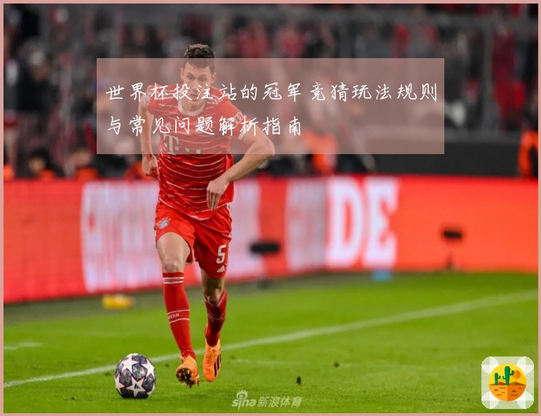 世界杯投注站的冠军竞猜玩法规则与常见问题解析指南