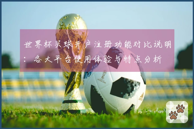 世界杯买球开户注册功能对比说明：各大平台使用体验与特点分析